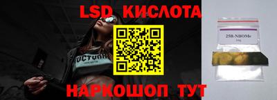 прущие грибы Кулебаки