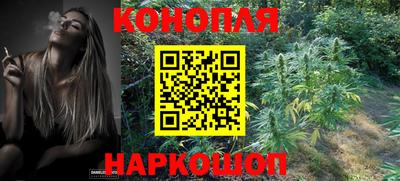прущие грибы Кулебаки