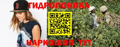 прущие грибы Кулебаки
